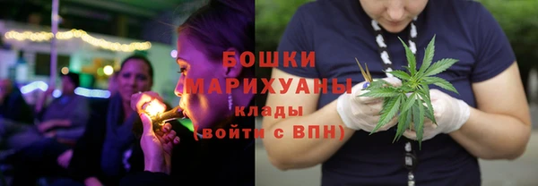 трава Абаза