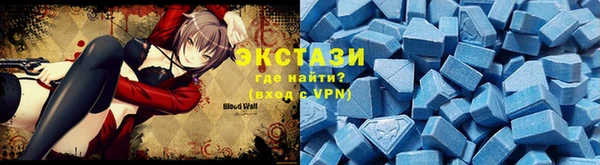 винт Инта
